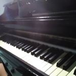 Profile Picture of Phong Huynh (@phong953h) on Instagram