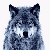 Profile Picture of Muhammad Sufyan (@MuhammadSufyan-x5f) on Youtube