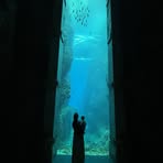 Profile Picture of Loreleï Agon (@Loreleï-Agon) on Facebook