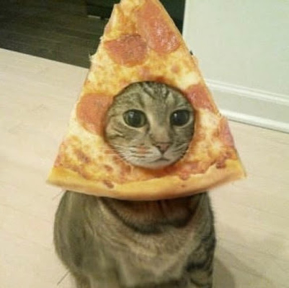 Erin Heissler - Poshmark Profile Picture of Erin Heissler (@erinpiggie1459) on Poshmark