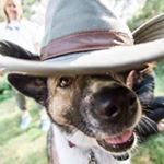 Profile Picture of Matt Gaston (@gaston_matt) on Instagram