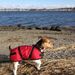 Profile Picture of Robin Tickle Cusick (@robinticklecusi) on Pinterest