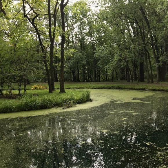 Profile Picture of Elise Falardeau (@cfjmn) on Poshmark