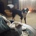 Profile Picture of Kelvin Fowler (@kelvin.fowler.712) on Facebook