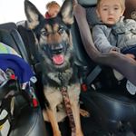 Profile Picture of Zachariah Harris (@bruhiamdead) on Instagram