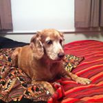 Profile Picture of Meagan Paul (@meaganpaul84) on Instagram