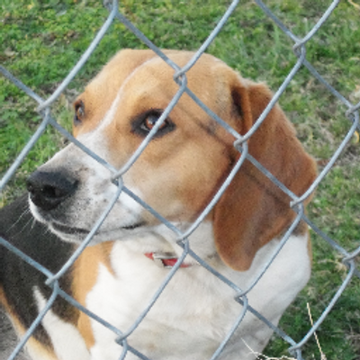 Carly Stephenson - Twitter Profile Picture of Carly Stephenson (@StephensonCarly) on Twitter