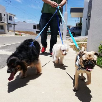 Profile Picture of Jonathan Velásquez Quesada (@TheRealJonaCR) on Twitter