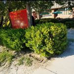 Profile Picture of Finn J (@finn._.jones) on Instagram