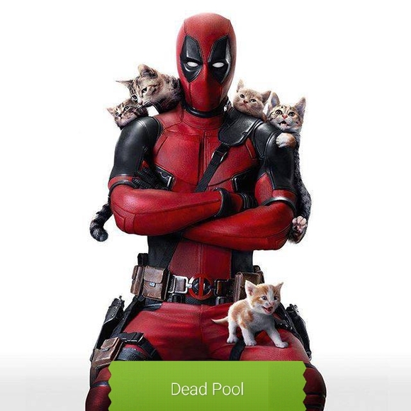 Profile Picture of William Mulkey (@warbirdp38) on Poshmark