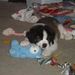 Profile Picture of Jean Hampson (@jeanhampson) on Pinterest