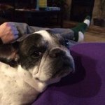 Profile Picture of Linda Beringer Odden (@lmodden) on Instagram