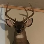 Profile Picture of Paul Toler (@toler.paul) on Instagram