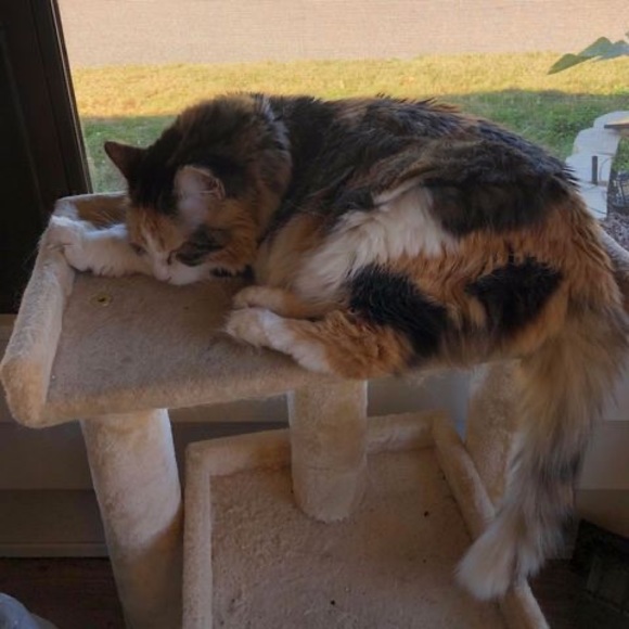 Doug Carter - Poshmark Profile Picture of Doug Carter (@dlc102756) on Poshmark