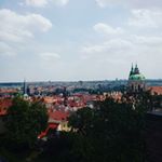 Profile Picture of marek piekarczyk (@dhdj.sh) on Instagram