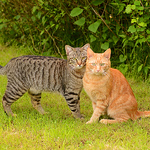 Profile Picture of Jianing&holger (@jianing&holger) on Flickr