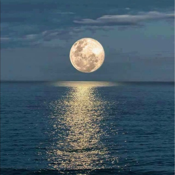 Profile Picture of Luis Rosa (@inf718) on Poshmark