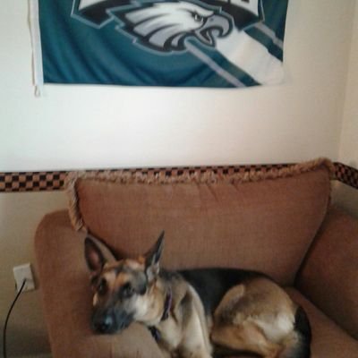 Profile Picture of Robin (@robinzink3) on Twitter