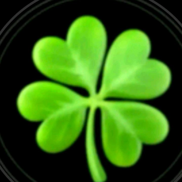 Profile Picture of jonty alexander (@alexanderdonty2) on Tiktok