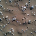 Profile Picture of Joseph M. Oram (@joseph.oram) on Instagram