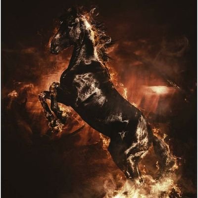 Profile Picture of Légendaire0001 (@BenKaba11) on Twitter