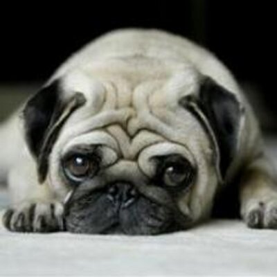 Profile Picture of David Hilario (@DavidHilarioA) on Twitter