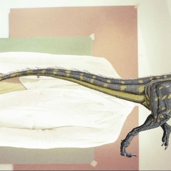 Profile Picture of Kristina Pejovski (@kikishoppe) on Poshmark