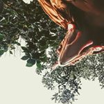 Profile Picture of jodi (@swansongnz) on Instagram