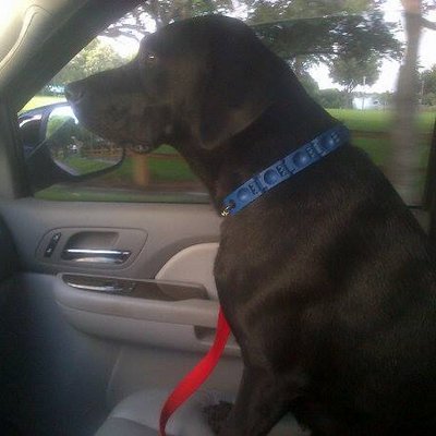 Profile Picture of Chad  McPherson (@w3sstcoast) on Twitter