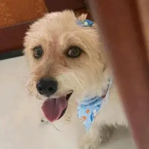 Profile Picture of Xolot né vida (@xolotinho_) on Tiktok