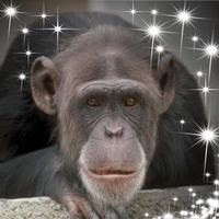 Profile Picture of Kevin Kettels (@kevin-kettels) on Quora