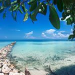 Profile Picture of Isla Tintipan (@islatintipan) on Instagram