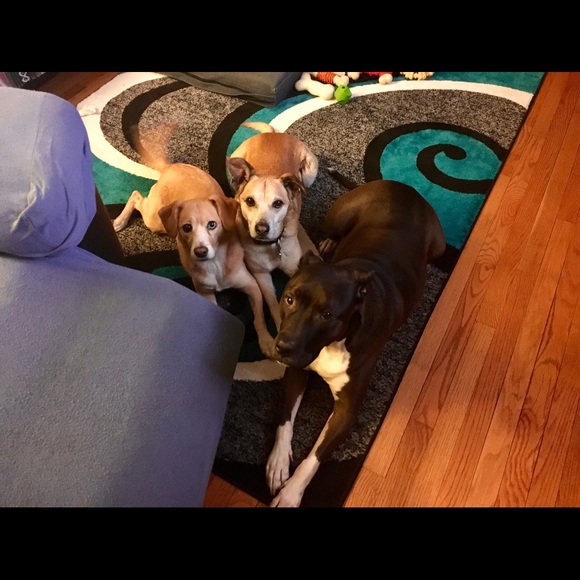 Profile Picture of Genae Bene (@genae273) on Poshmark