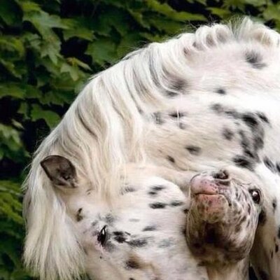 Profile Picture of Debbie Pyles (@DebbiePyles) on Twitter