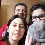 Profile Picture of loredana (@digarboloredana) on Instagram