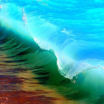 Profile Picture of Hang Tran (@hang tran realty) on Flickr