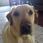 Profile Picture of Virginia Kehoe (@virginia.kehoe.18) on Facebook