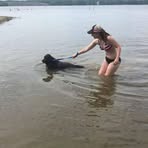 Profile Picture of Tina Stelling (@Tina-Stelling) on Facebook