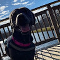 Profile Picture of Gidget Anderson (@gidget-anderson-2) on Quora