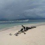 Profile Picture of Aisling Sherriff (@aisling.sherriff) on Facebook