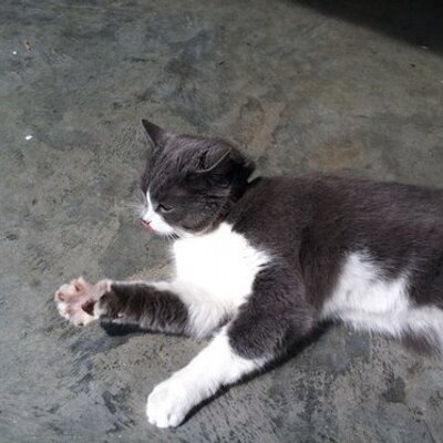 Profile Picture of Pat Wylie (@000014789) on Twitter