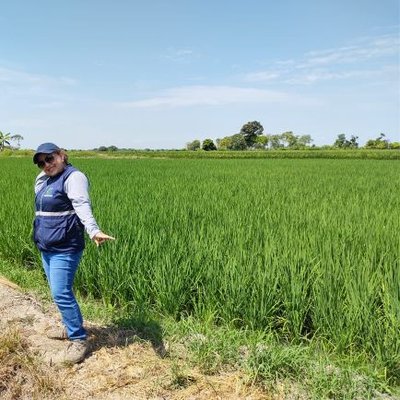 Profile Picture of Imelda Felix Barrera (@imelda1971) on Twitter