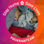 Profile Picture of Allen Shapiro (@allen.shapiro.904) on Facebook