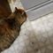 Profile Picture of Paula Johnston (@paula.johnston.946954) on Facebook