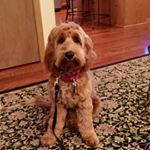 Profile Picture of George Shipperley,  Artist (@georgeshipperley795) on Instagram