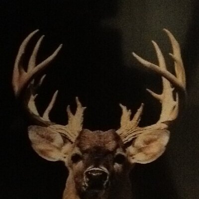 Profile Picture of Travis Keyes (@KeyesTravis) on Twitter