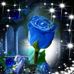 Profile Picture of Elaine Thomas (@elaine.thomas.39982) on Facebook