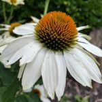 Profile Picture of Ginny (@ginny.funk) on Instagram