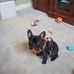 Profile Picture of Paul Bomar (@paul.bomar.54) on Facebook