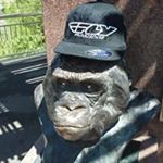 Profile Picture of Tony Barney (@barneytony) on Instagram